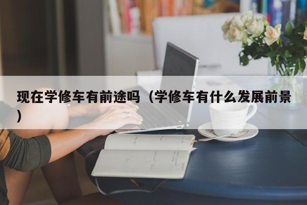現(xiàn)在學修車有前途嗎（學修車有什么發(fā)展前景）
