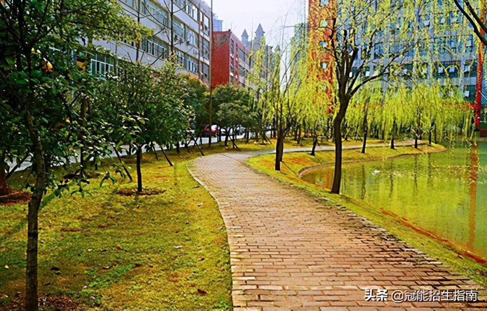 四川技術(shù)學(xué)院(四川技術(shù)學(xué)院怎么樣呢）
