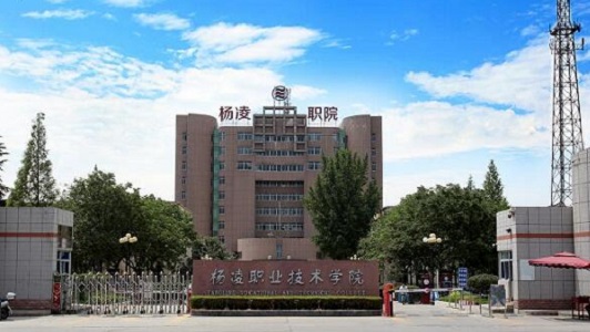 四川2021年好一點的電子商務學校