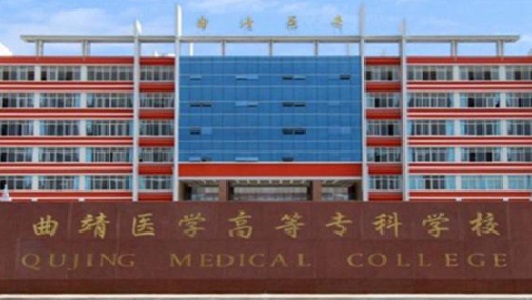 成都都江堰技校都有哪些學(xué)校(都江堰哪個(gè)小學(xué)最好)