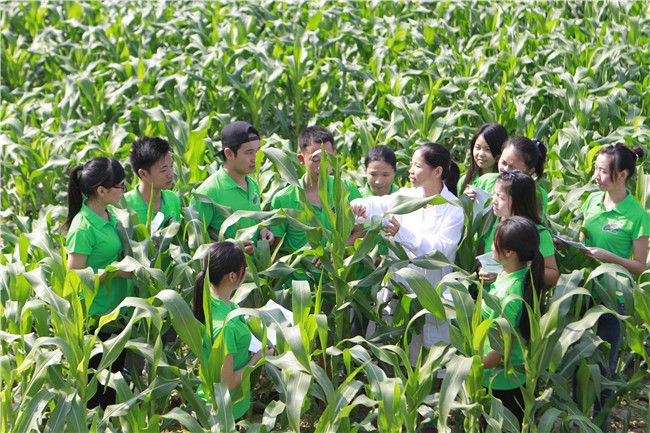 成都財(cái)貿(mào)崗位實(shí)驗(yàn)學(xué)校2022年培訓(xùn)費(fèi)、收費(fèi)標(biāo)準(zhǔn)是多少