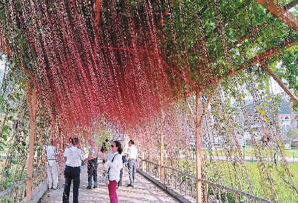 成都華陽原輸氣石油技校(瀘州石油醫(yī)院圖片)