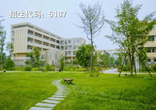 包含成都有哪些大學(xué)專科學(xué)校的詞條