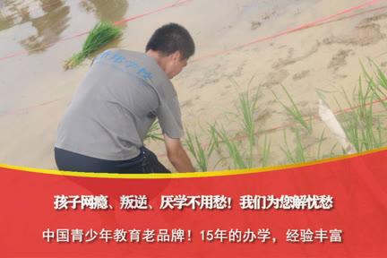 關(guān)于叛逆期孩子學(xué)校哪里好的信息