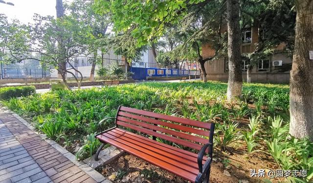 大學(xué)專科有哪些學(xué)校(重慶學(xué)校有哪些大學(xué)?？?