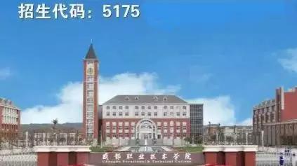四川成都的大專(zhuān)學(xué)校名單(成都五年一貫制大專(zhuān)學(xué)校名單)