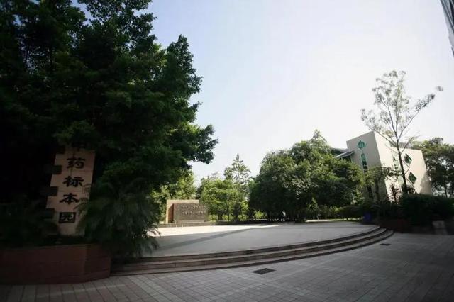 重慶口碑好的職業(yè)學校有哪些(重慶電訊職業(yè)學?？诒趺礃?