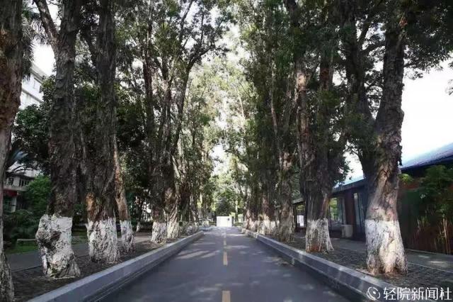 重慶口碑好的職業(yè)學校有哪些(重慶電訊職業(yè)學?？诒趺礃?