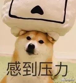 志翔職業(yè)技術學校(志翔職業(yè)技術學校官網)