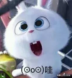 志翔職業(yè)技術學校(志翔職業(yè)技術學校官網)