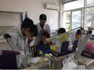 成都鐵路衛(wèi)生職業(yè)學校有哪些專業(yè)(成都鐵路衛(wèi)生職業(yè)學校學費)