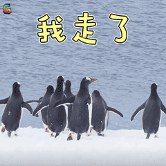有沒(méi)有免學(xué)費(fèi)的技校(有沒(méi)有不收學(xué)費(fèi)的技校)