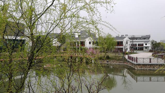 四川幼兒師范高等專科學(xué)校(四川幼兒師范高等?？茖W(xué)校分?jǐn)?shù)線)