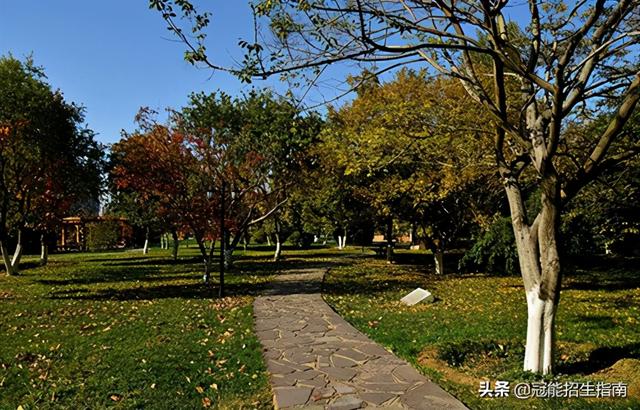 成都?？谱o(hù)理哪個(gè)學(xué)校好的簡(jiǎn)單介紹