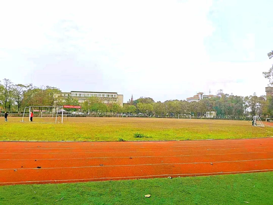 南充技術(shù)學校有哪些(南充最好的技術(shù)學校在哪里)