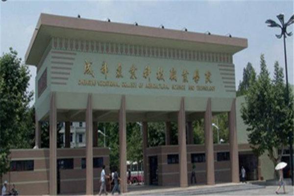 四川最好的職業(yè)技術(shù)學院(四川信息職業(yè)技術(shù)學院最好的專業(yè))