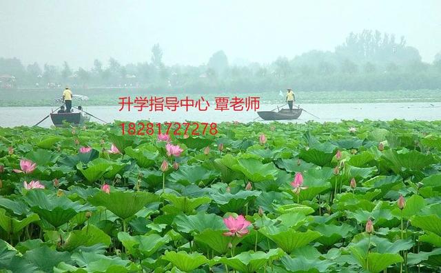 德陽幼師學(xué)校(四川德陽幼師?？茖W(xué)校)