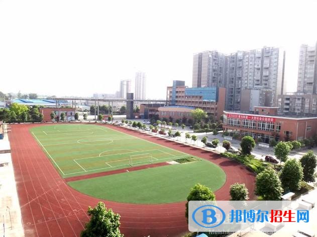 綿陽有哪些職業(yè)學校(綿陽有哪些公辦職業(yè)學校)