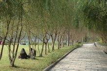 四川幼兒師范高等專科學(xué)校(四川幼兒師范高等?？茖W(xué)校地址)