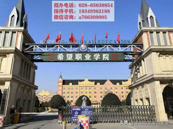 四川高鐵學(xué)校排名(高鐵乘務(wù)學(xué)校?？茖W(xué)校排名)