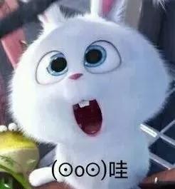 成都志翔職業(yè)學(xué)校(成都志翔職業(yè)學(xué)?？诒貌缓?