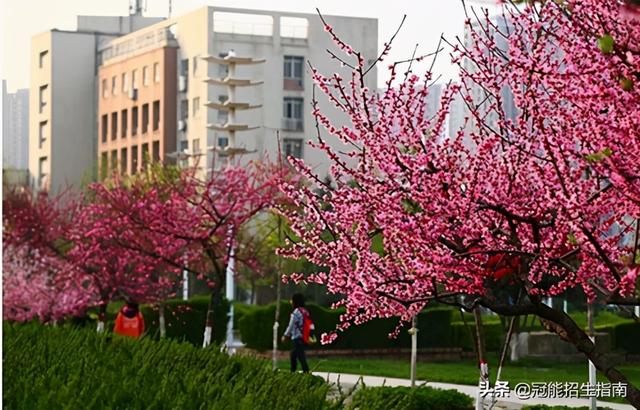 四川最好的護(hù)理專科學(xué)校(四川省內(nèi)護(hù)理學(xué)校排名)