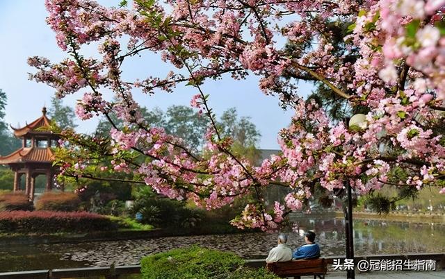 四川最好的護(hù)理?？茖W(xué)校(四川省內(nèi)護(hù)理學(xué)校排名)