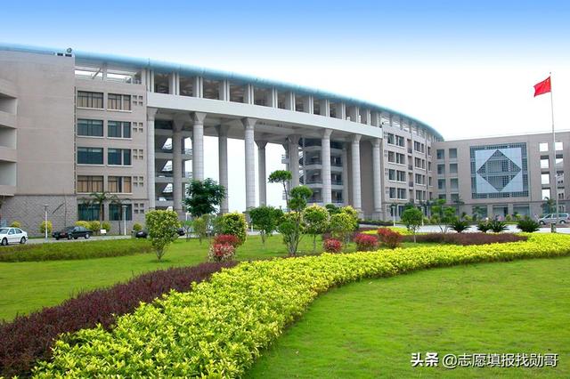 專科讀護理專業(yè)的就業(yè)前景(護理專業(yè)的近期目標)