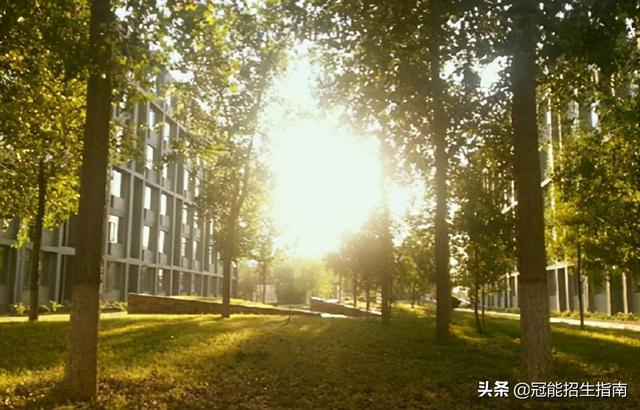 成都幼師專業(yè)學(xué)校專科(成都本科幼師專業(yè)學(xué)校排名)