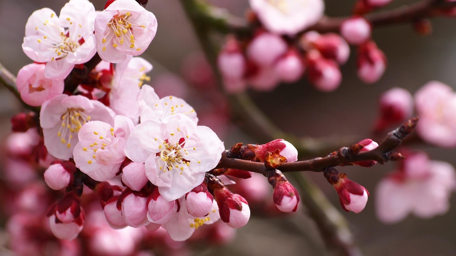 保定育德中專(zhuān)網(wǎng)站網(wǎng)站
